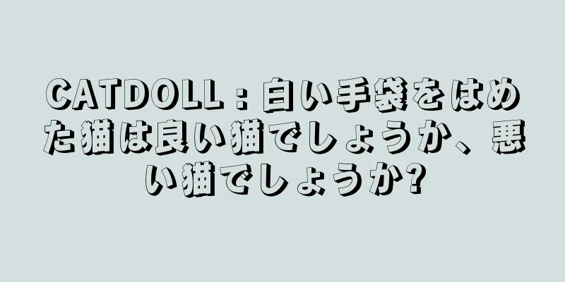CATDOLL : 白い手袋をはめた猫は良い猫でしょうか、悪い猫でしょうか?