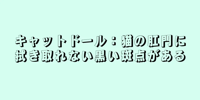 キャットドール：猫の肛門に拭き取れない黒い斑点がある