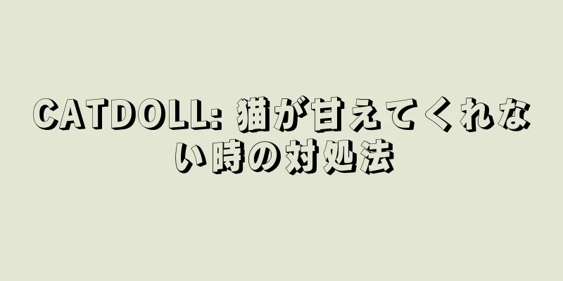 CATDOLL: 猫が甘えてくれない時の対処法