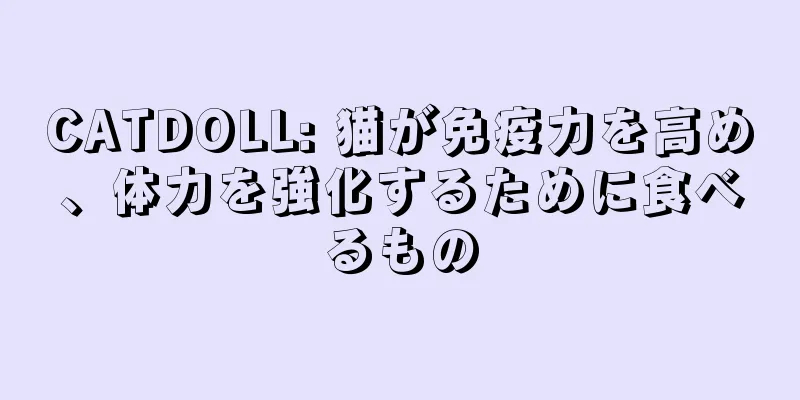 CATDOLL: 猫が免疫力を高め、体力を強化するために食べるもの