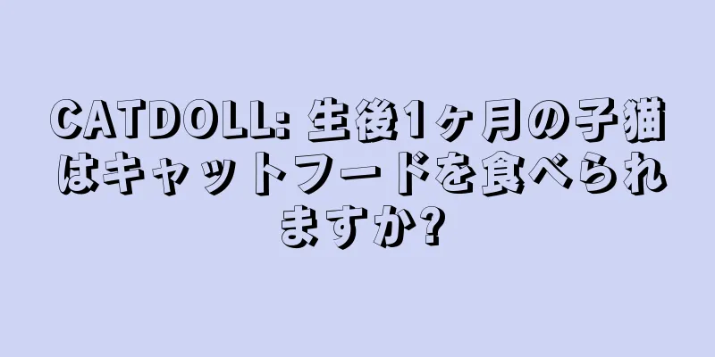CATDOLL: 生後1ヶ月の子猫はキャットフードを食べられますか?