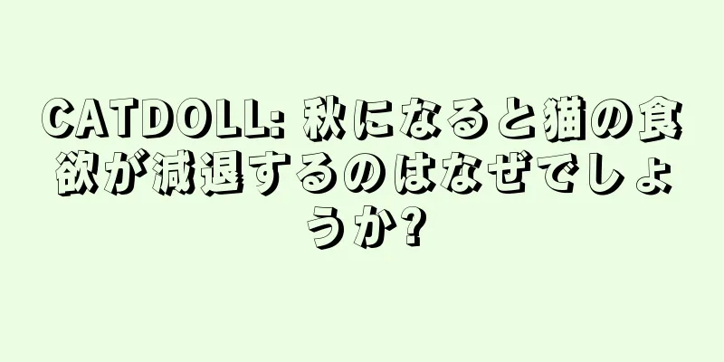 CATDOLL: 秋になると猫の食欲が減退するのはなぜでしょうか?