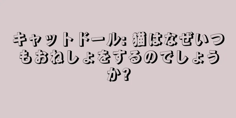 キャットドール: 猫はなぜいつもおねしょをするのでしょうか?