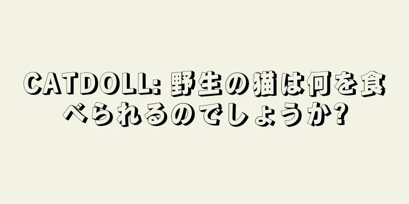 CATDOLL: 野生の猫は何を食べられるのでしょうか?