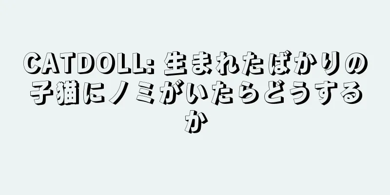 CATDOLL: 生まれたばかりの子猫にノミがいたらどうするか