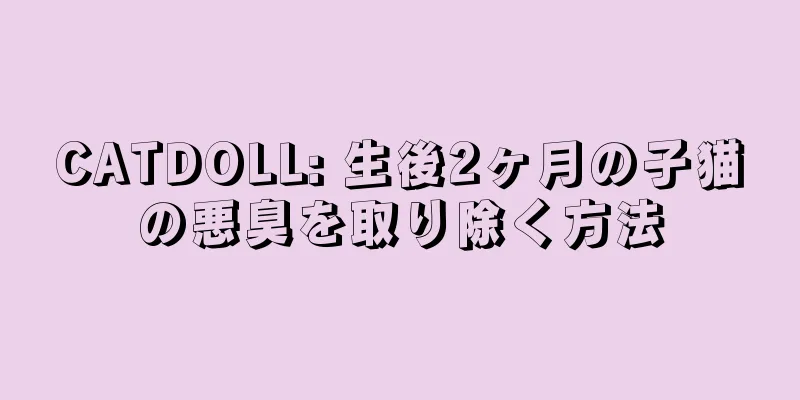 CATDOLL: 生後2ヶ月の子猫の悪臭を取り除く方法