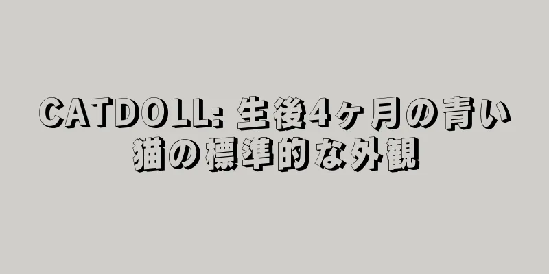 CATDOLL: 生後4ヶ月の青い猫の標準的な外観
