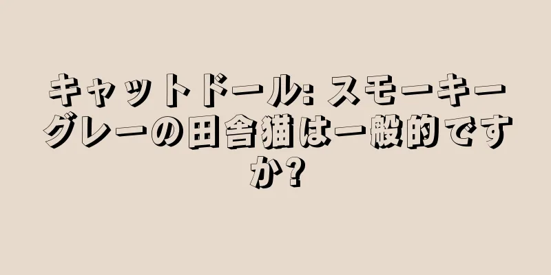 キャットドール: スモーキーグレーの田舎猫は一般的ですか?