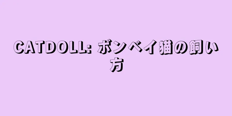 CATDOLL: ボンベイ猫の飼い方