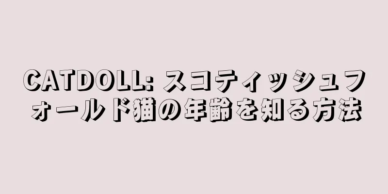 CATDOLL: スコティッシュフォールド猫の年齢を知る方法