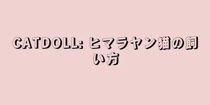 CATDOLL: ヒマラヤン猫の飼い方