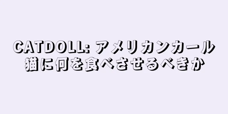 CATDOLL: アメリカンカール猫に何を食べさせるべきか