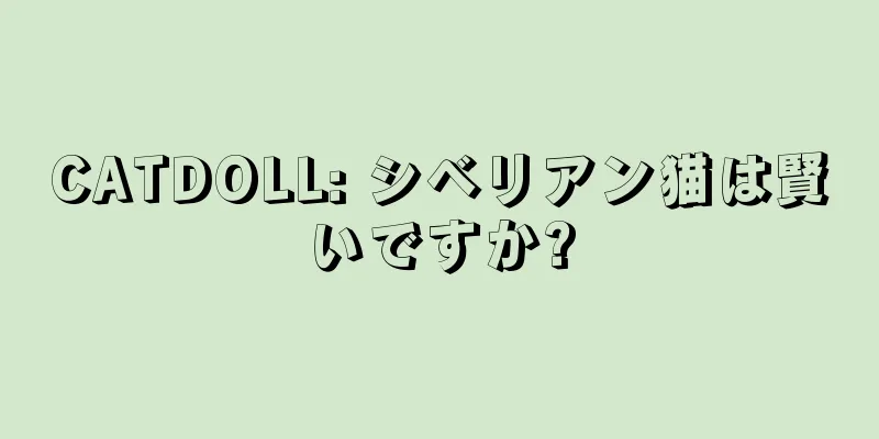 CATDOLL: シベリアン猫は賢いですか?