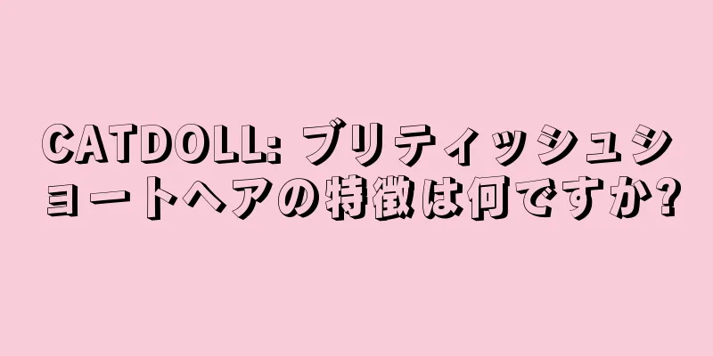 CATDOLL: ブリティッシュショートヘアの特徴は何ですか?