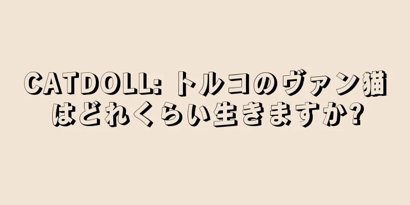 CATDOLL: トルコのヴァン猫はどれくらい生きますか?