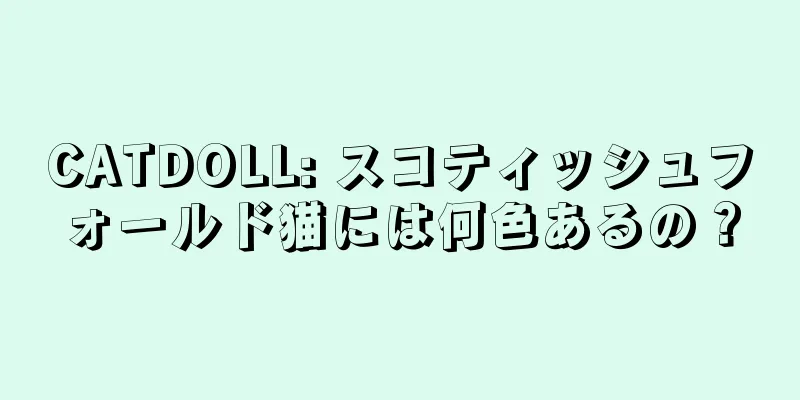 CATDOLL: スコティッシュフォールド猫には何色あるの？