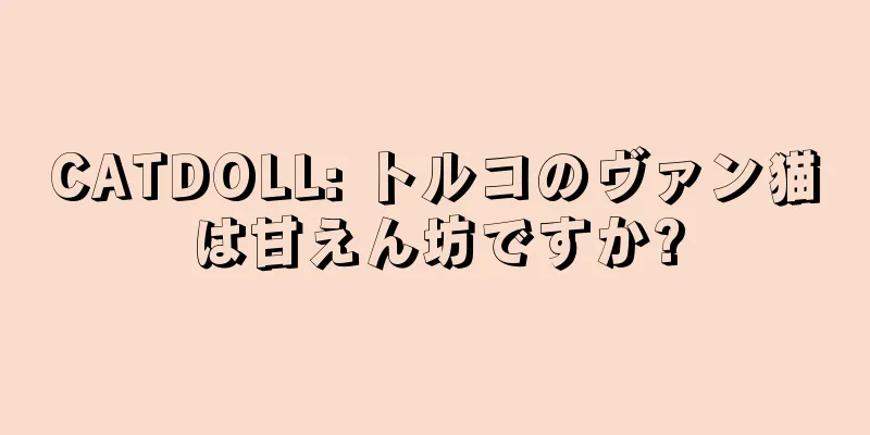 CATDOLL: トルコのヴァン猫は甘えん坊ですか?