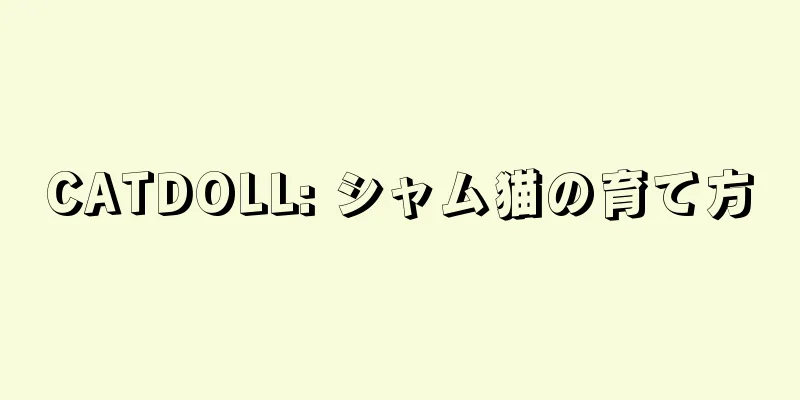 CATDOLL: シャム猫の育て方