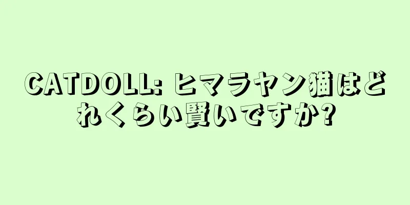 CATDOLL: ヒマラヤン猫はどれくらい賢いですか?