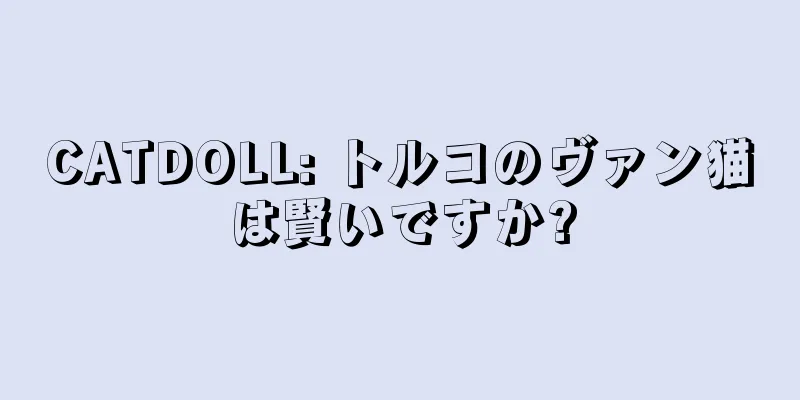 CATDOLL: トルコのヴァン猫は賢いですか?