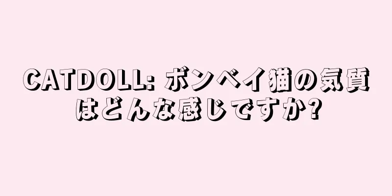 CATDOLL: ボンベイ猫の気質はどんな感じですか?