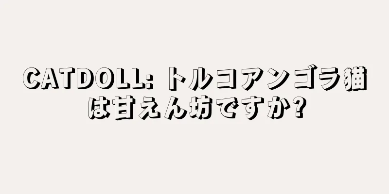 CATDOLL: トルコアンゴラ猫は甘えん坊ですか?