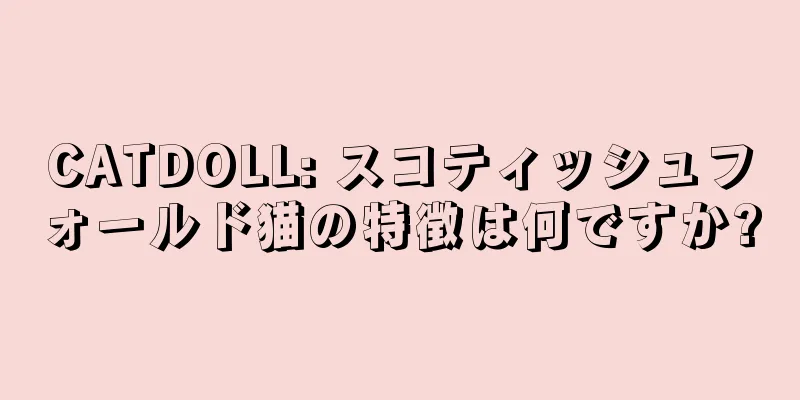 CATDOLL: スコティッシュフォールド猫の特徴は何ですか?