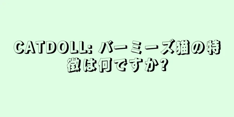 CATDOLL: バーミーズ猫の特徴は何ですか?