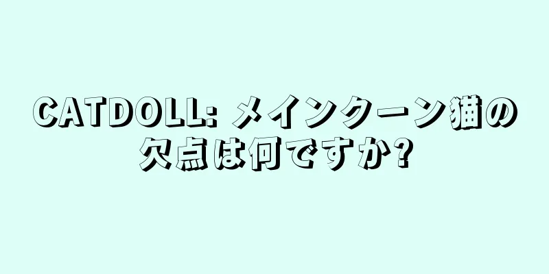 CATDOLL: メインクーン猫の欠点は何ですか?