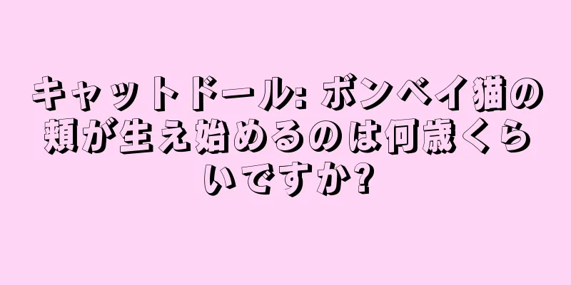 キャットドール: ボンベイ猫の頬が生え始めるのは何歳くらいですか?