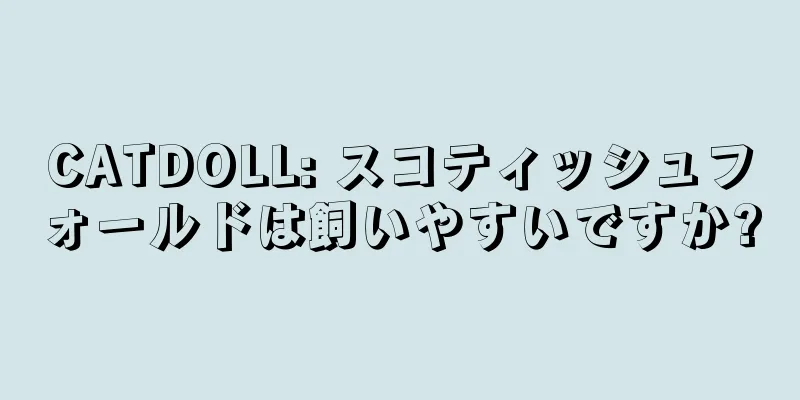 CATDOLL: スコティッシュフォールドは飼いやすいですか?