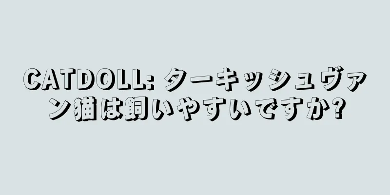 CATDOLL: ターキッシュヴァン猫は飼いやすいですか?