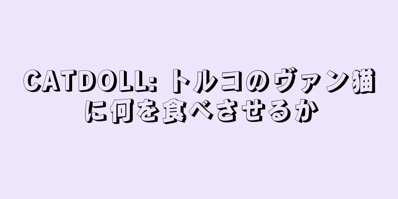 CATDOLL: トルコのヴァン猫に何を食べさせるか