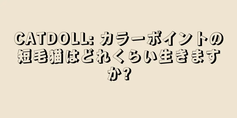 CATDOLL: カラーポイントの短毛猫はどれくらい生きますか?