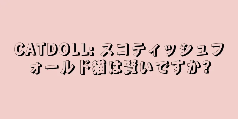 CATDOLL: スコティッシュフォールド猫は賢いですか?