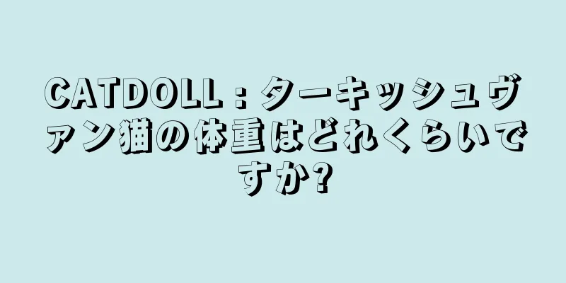 CATDOLL : ターキッシュヴァン猫の体重はどれくらいですか?
