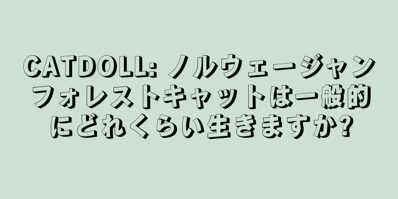 CATDOLL: ノルウェージャンフォレストキャットは一般的にどれくらい生きますか?