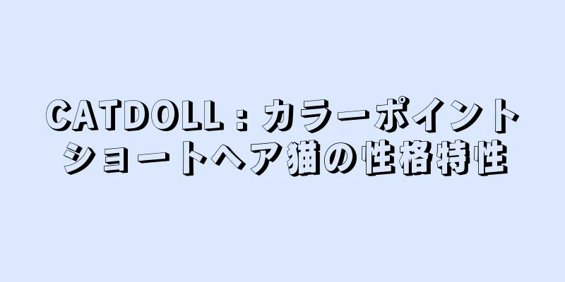 CATDOLL : カラーポイントショートヘア猫の性格特性