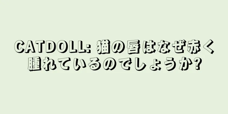 CATDOLL: 猫の唇はなぜ赤く腫れているのでしょうか?