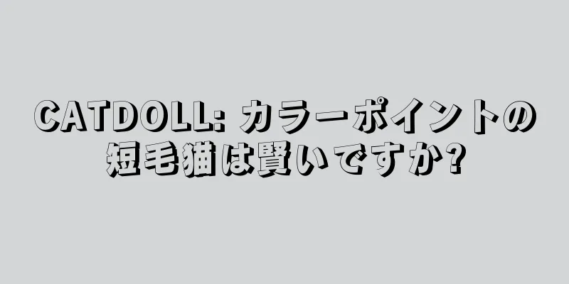 CATDOLL: カラーポイントの短毛猫は賢いですか?