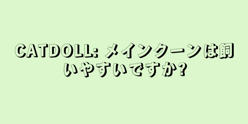 CATDOLL: メインクーンは飼いやすいですか?