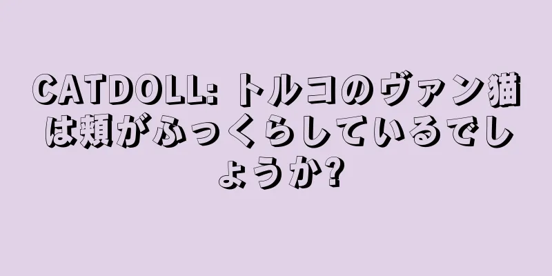 CATDOLL: トルコのヴァン猫は頬がふっくらしているでしょうか?