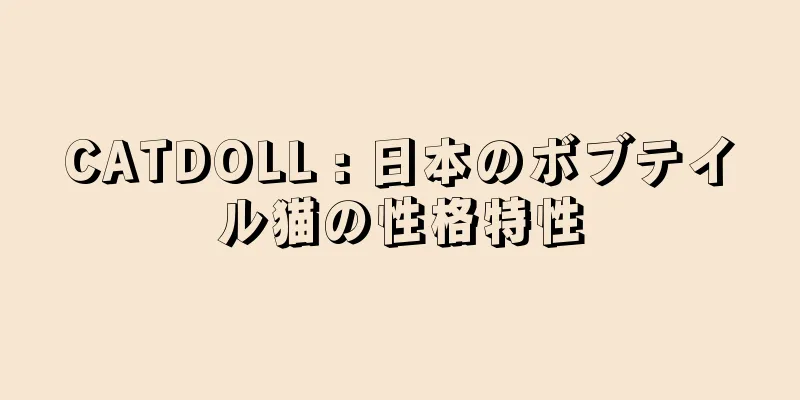 CATDOLL : 日本のボブテイル猫の性格特性