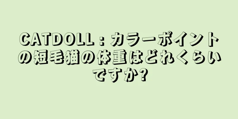 CATDOLL : カラーポイントの短毛猫の体重はどれくらいですか?