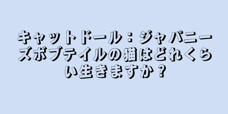 キャットドール：ジャパニーズボブテイルの猫はどれくらい生きますか？