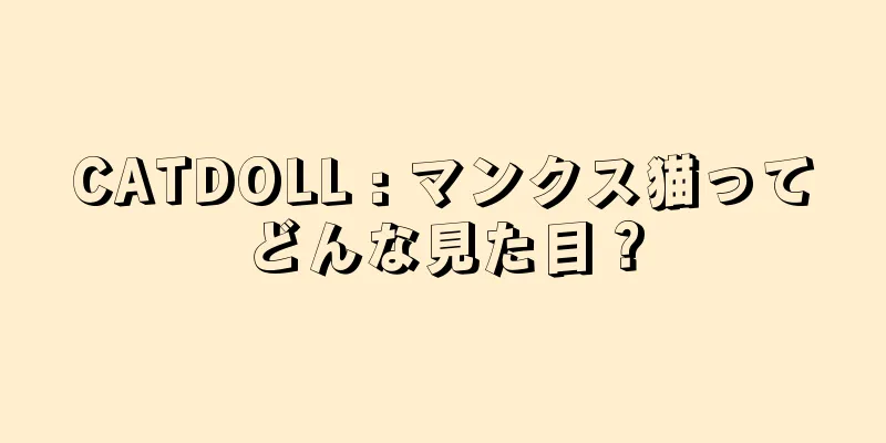 CATDOLL : マンクス猫ってどんな見た目？