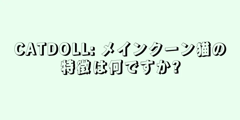 CATDOLL: メインクーン猫の特徴は何ですか?
