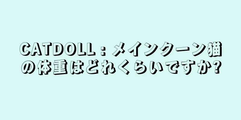 CATDOLL : メインクーン猫の体重はどれくらいですか?