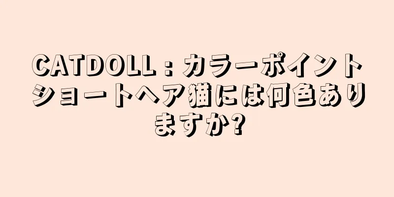 CATDOLL : カラーポイントショートヘア猫には何色ありますか?