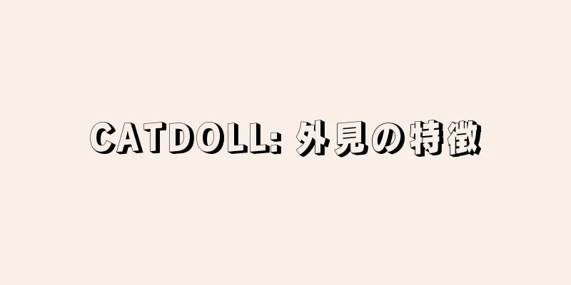 CATDOLL: 外見の特徴